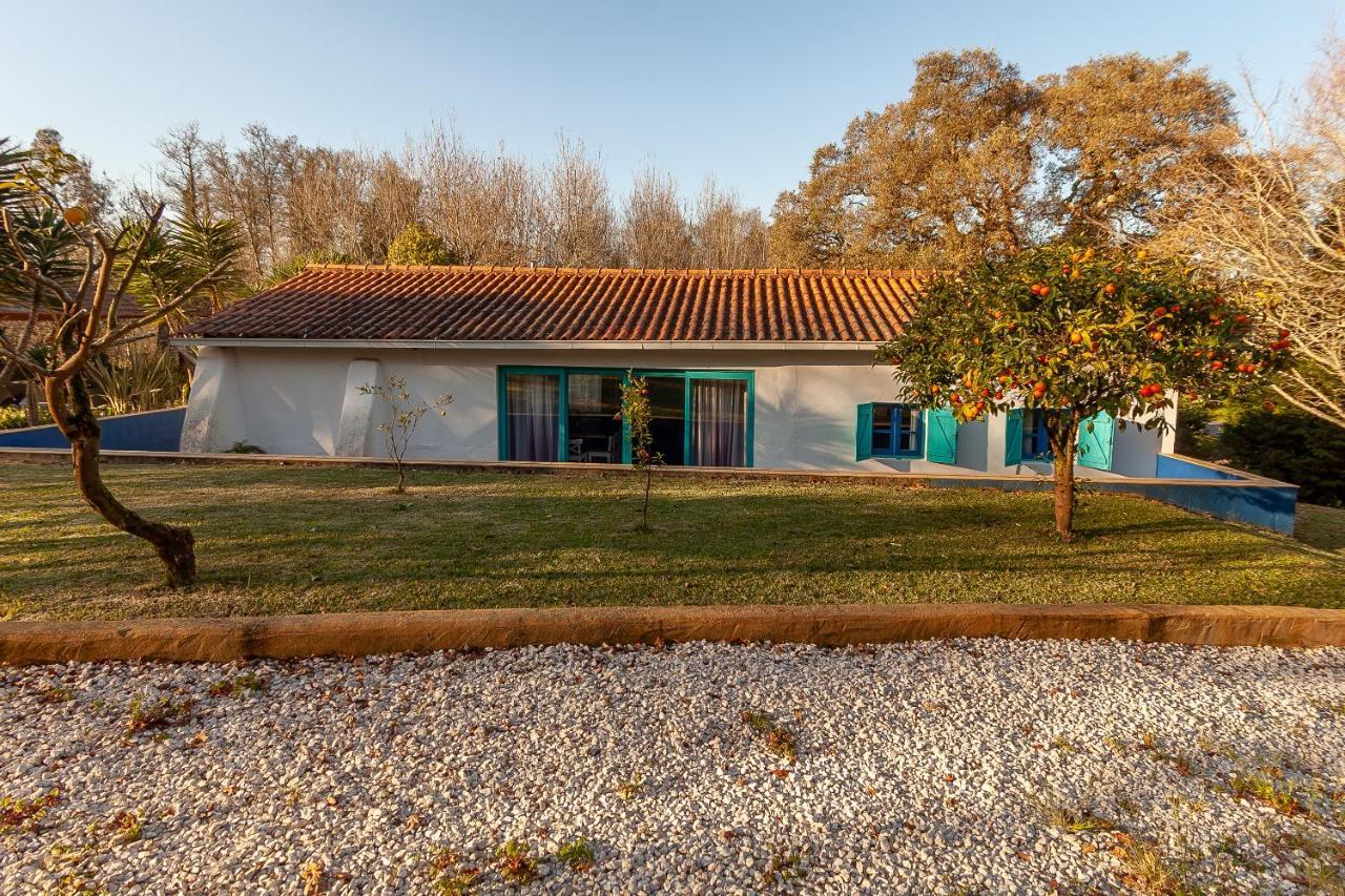 Vale Da Silva Villas - Homes Albergaria-a-Velha Exteriör bild