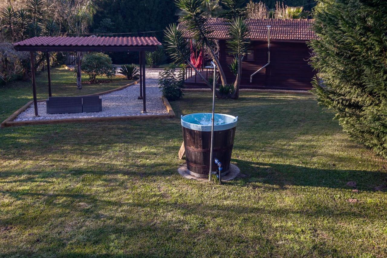 Vale Da Silva Villas - Homes Albergaria-a-Velha Exteriör bild